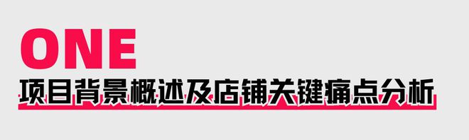 助力商家提升店铺层级月销售突破60WAG真人网站火蝠案例 定制营销策略(图2)