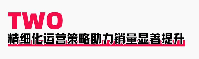 助力商家提升店铺层级月销售突破60WAG真人网站火蝠案例 定制营销策略(图11)