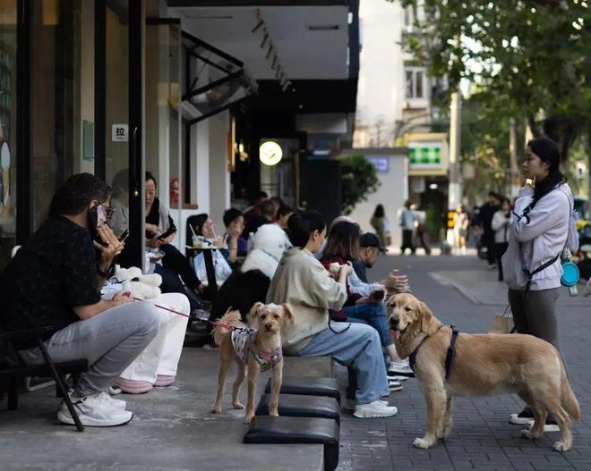 抛弃了双11爱上了“老年严选”AG真人国际游戏这届脆皮年轻人(图14)